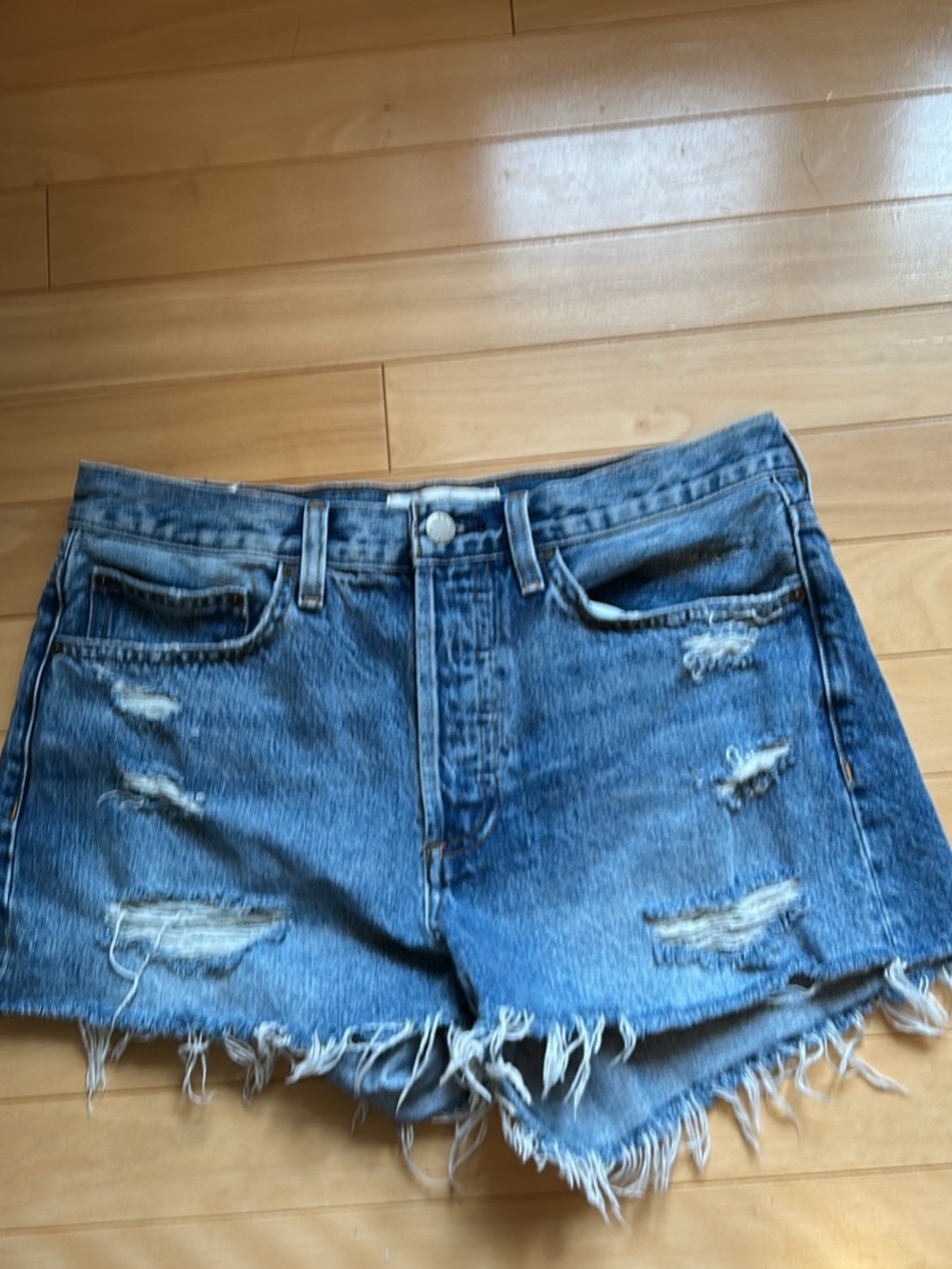 Aritzia Denim Forum Ex-boyfriend Denim Shorts Size 28